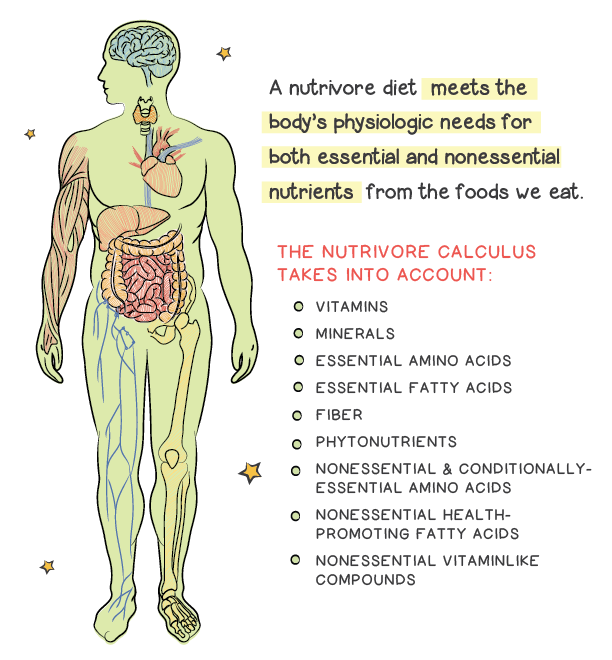 Understand Your Body Type — Nutriworks Nutrition