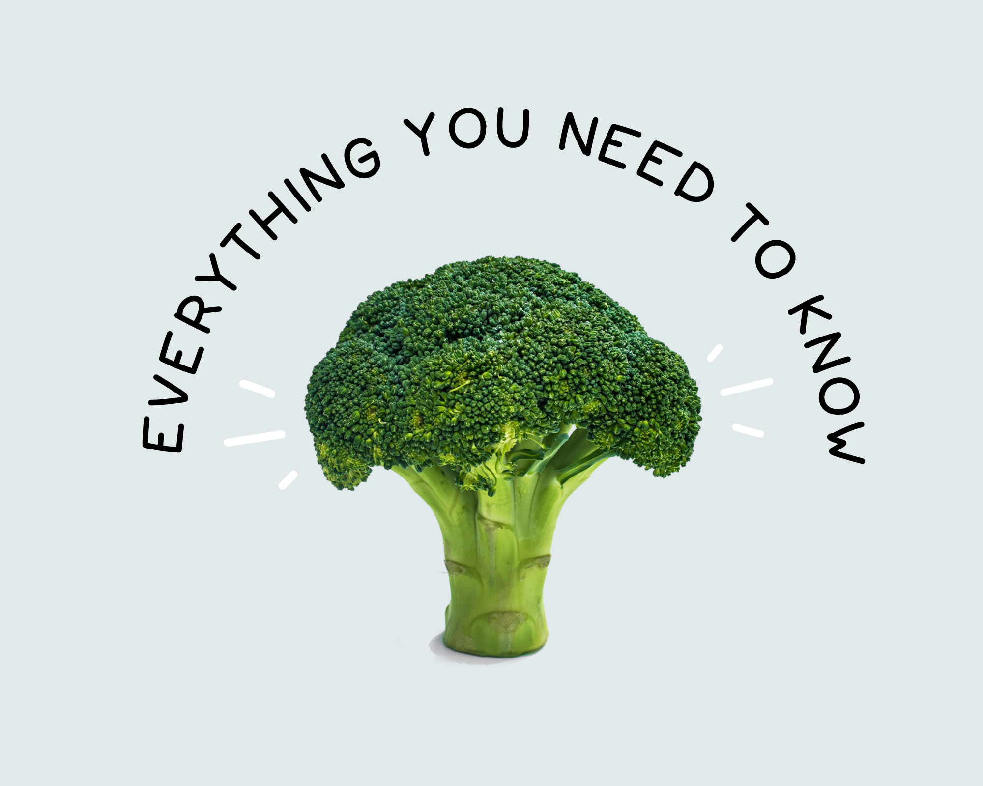Broccoli Everything You Need to Know