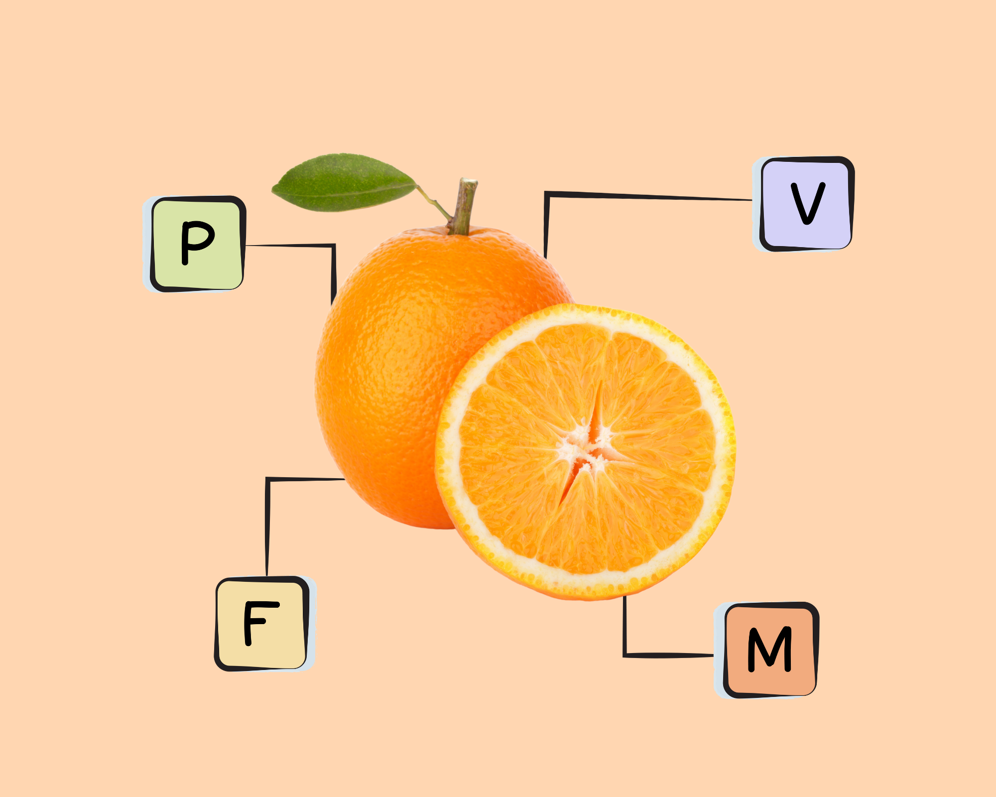 Orange Nutrients