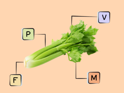 Nutrients in Celery