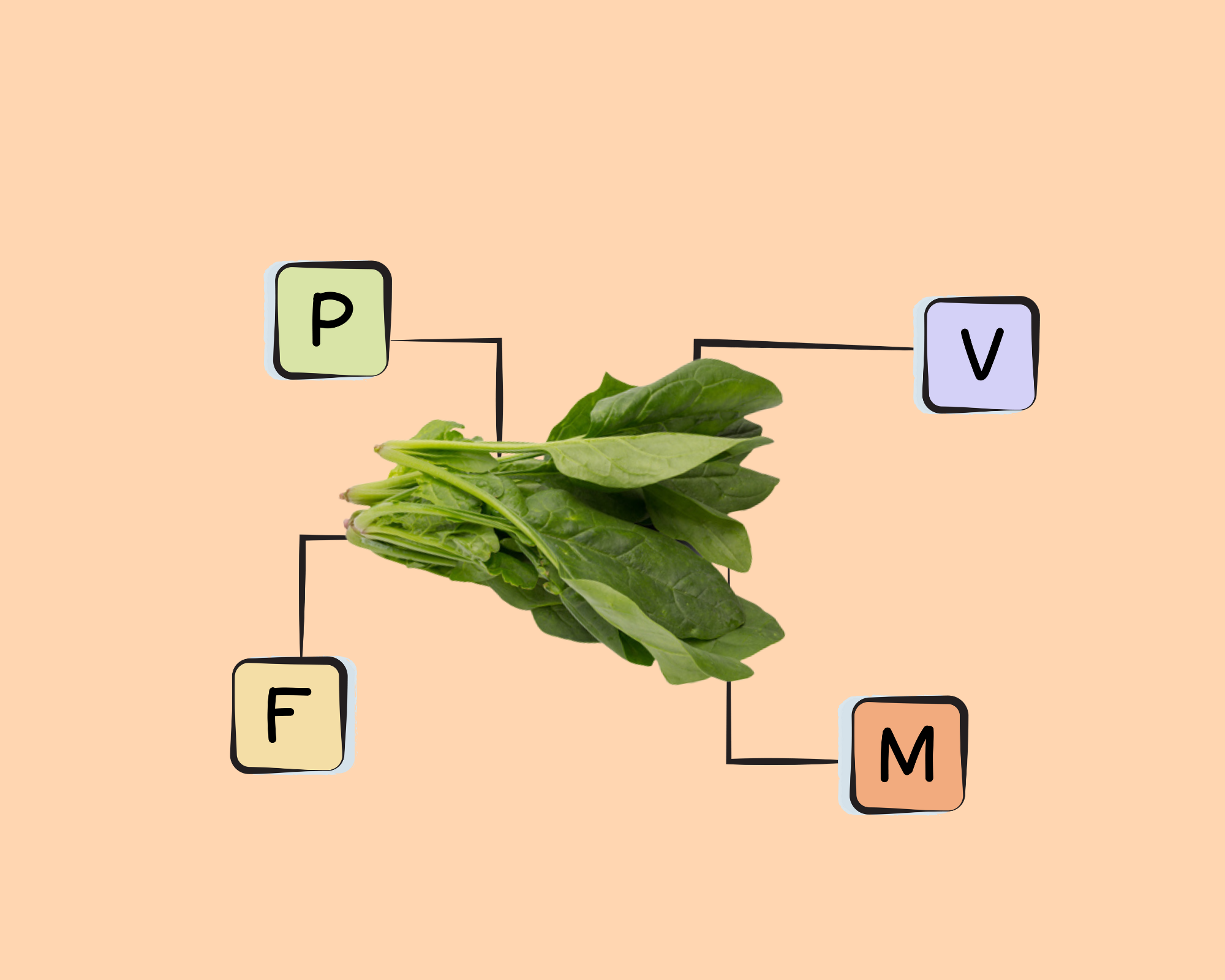 spinach-nutrients