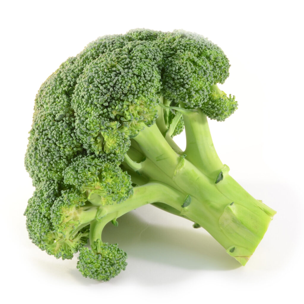 An image of broccoli.