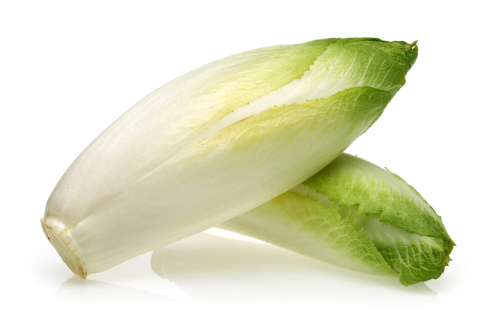 An image of endive.