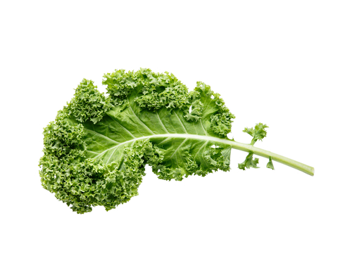 An image of kale.