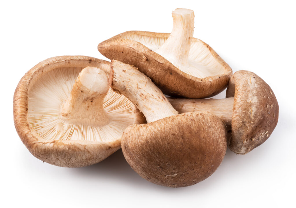 An image of shiitake mushrooms.