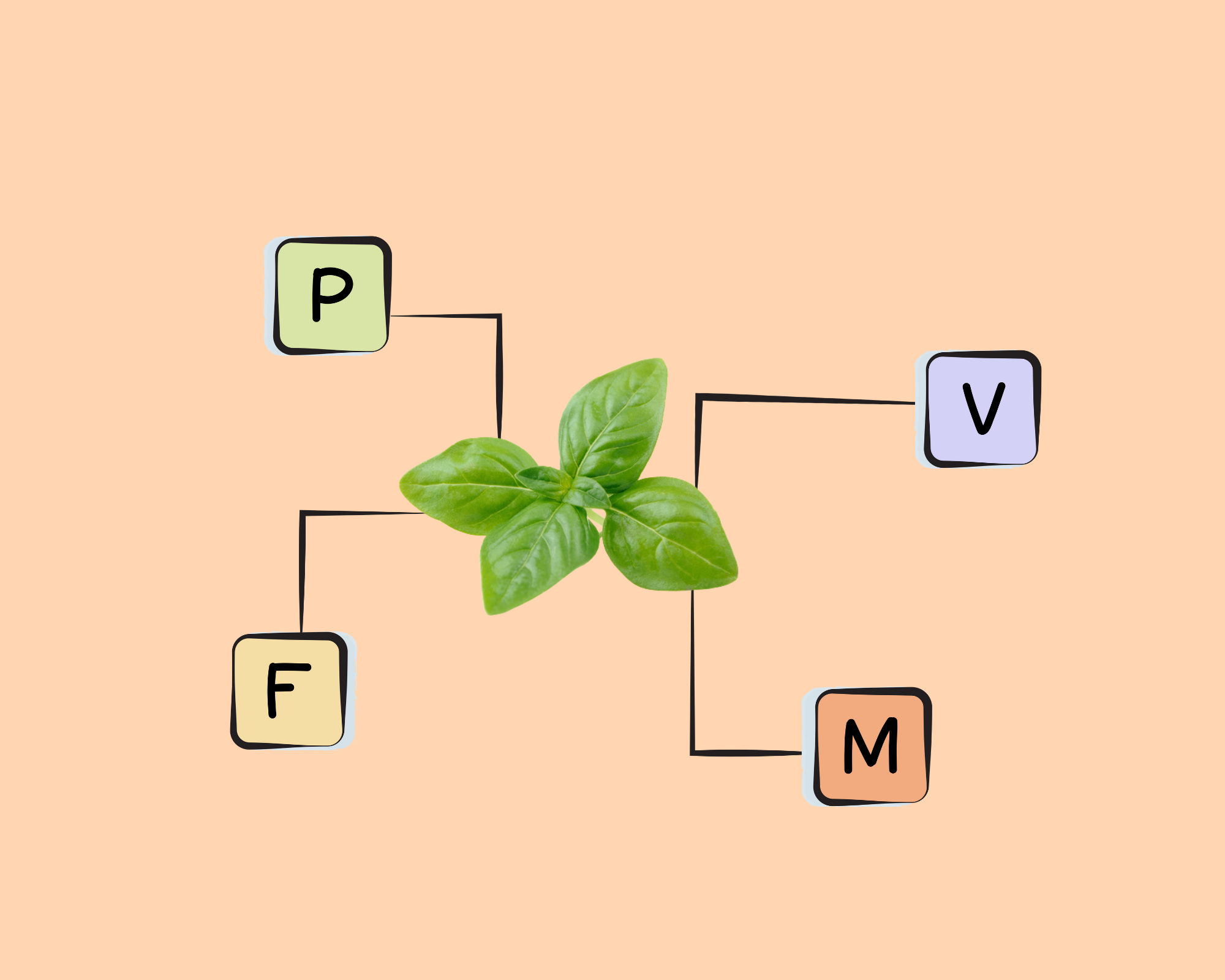 Basil Nutrients