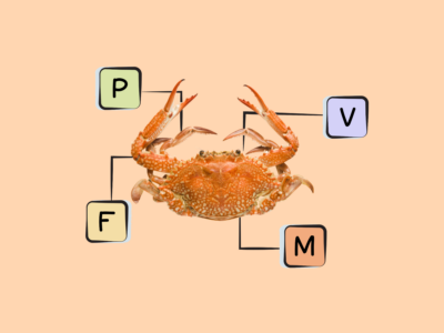 Nutrients in Crab