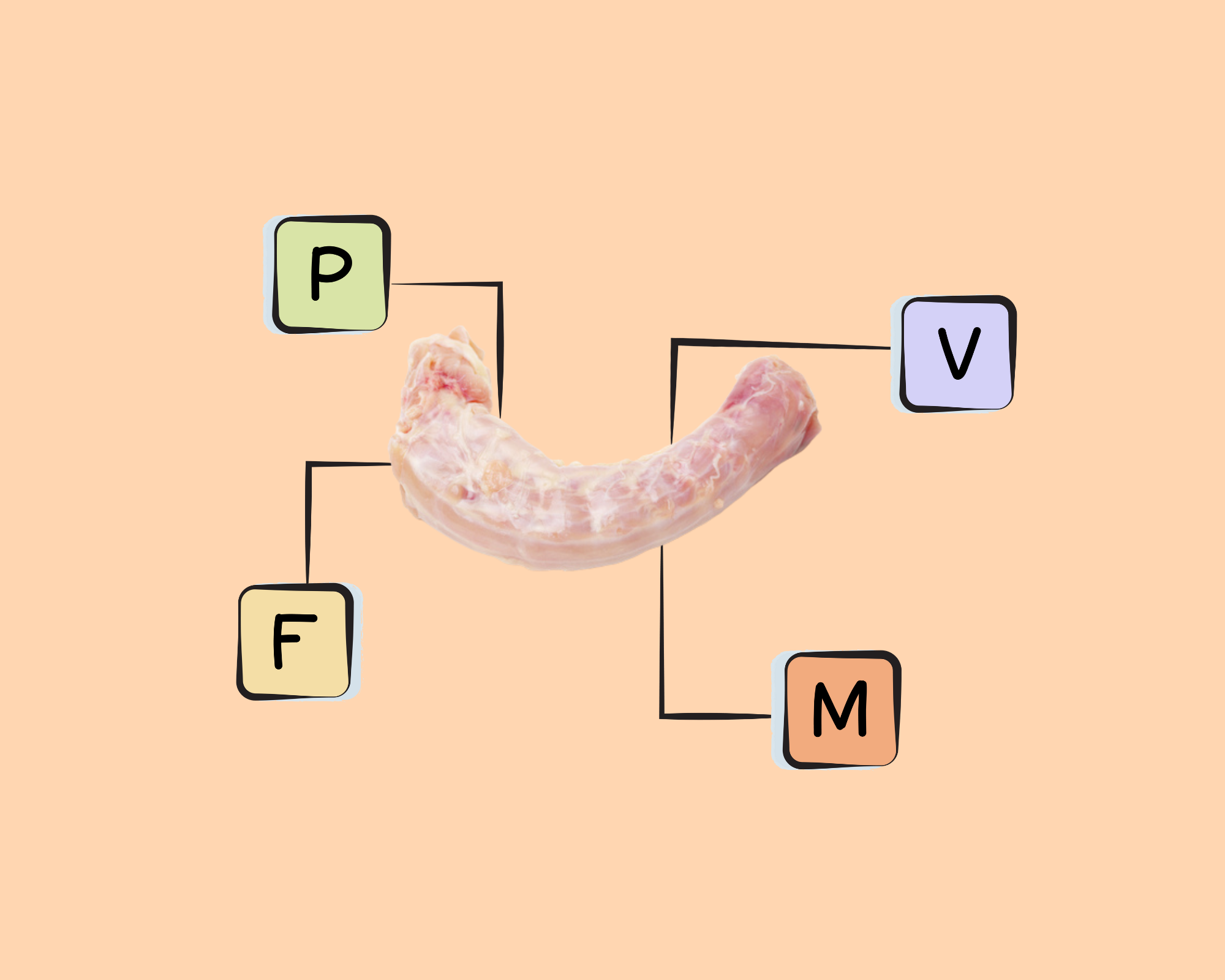 Turkey Giblet Nutrients