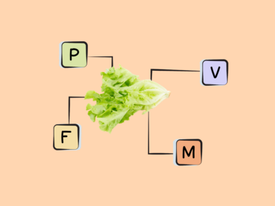 Nutrients in Green Leaf Lettuce