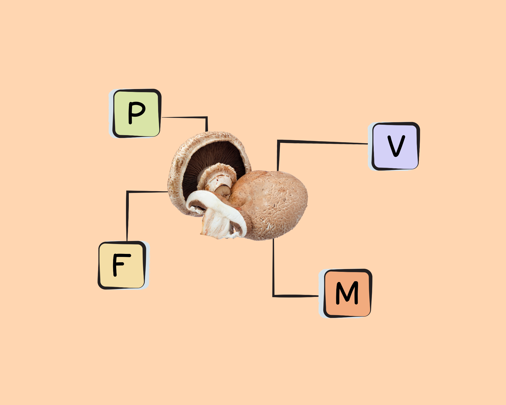 ergothioneine and glutathione portabello mushrooms Portabella Mushroom Nutrients