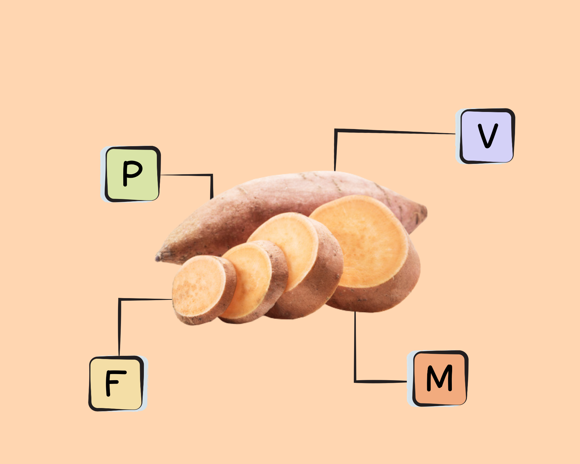 Sweet Potato Nutrients
