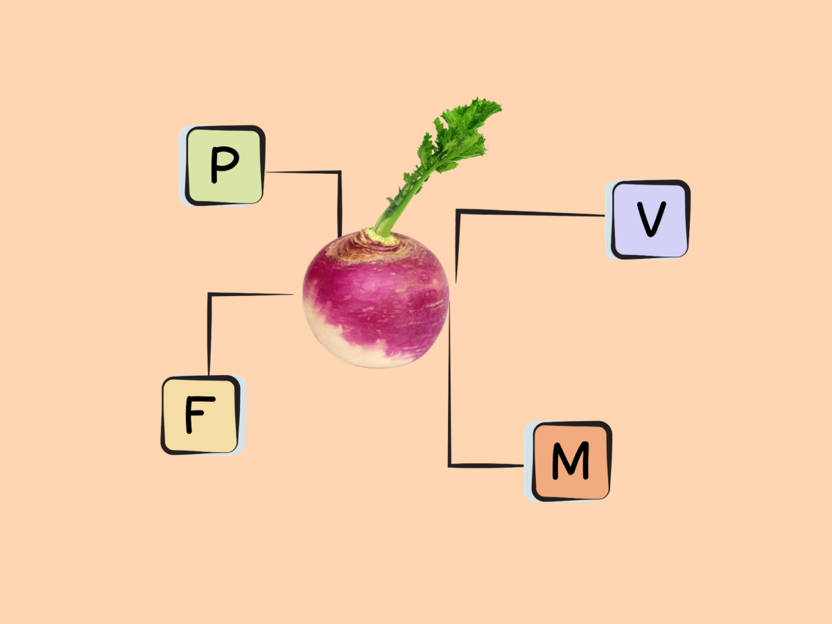 Nutrition visual data 7