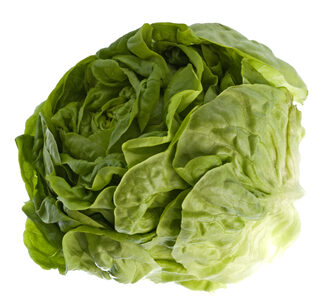 An image of butterhead lettuce.