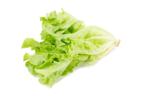 An image of green leaf lettuce.