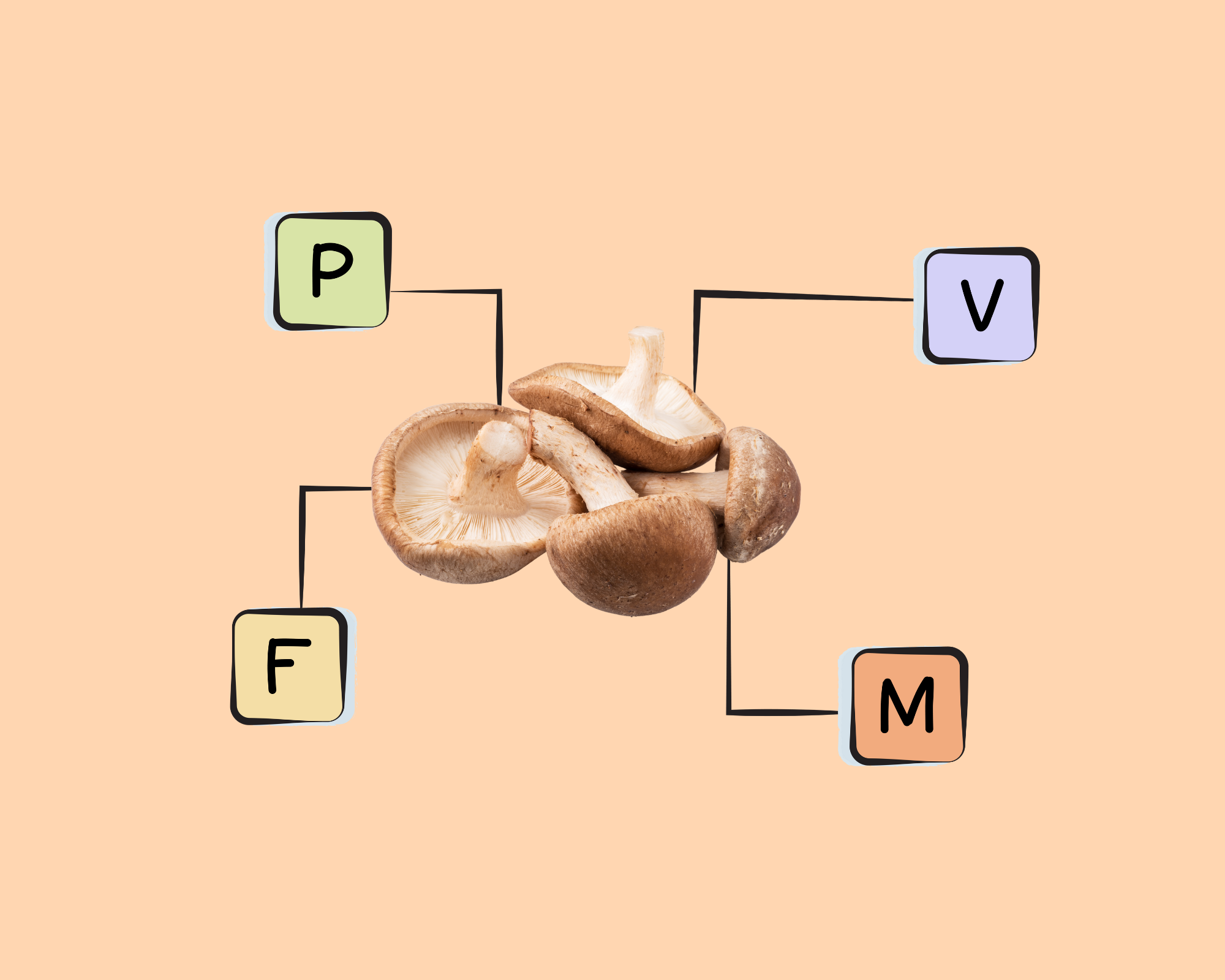 Shiitake Mushroom Nutrients