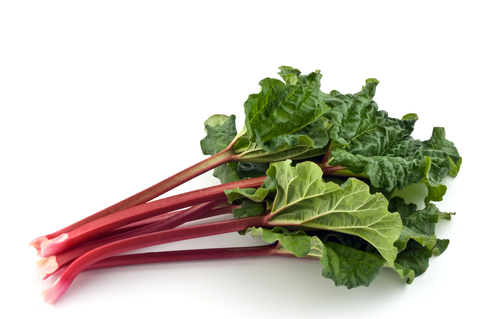 An image of rainbow chard.