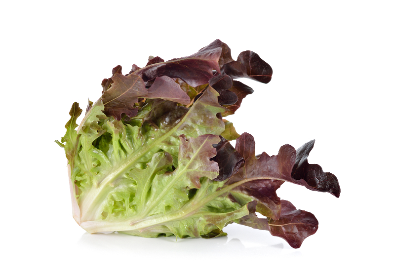 An image of red leaf lettuce.