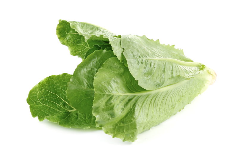 An image of romaine lettuce.