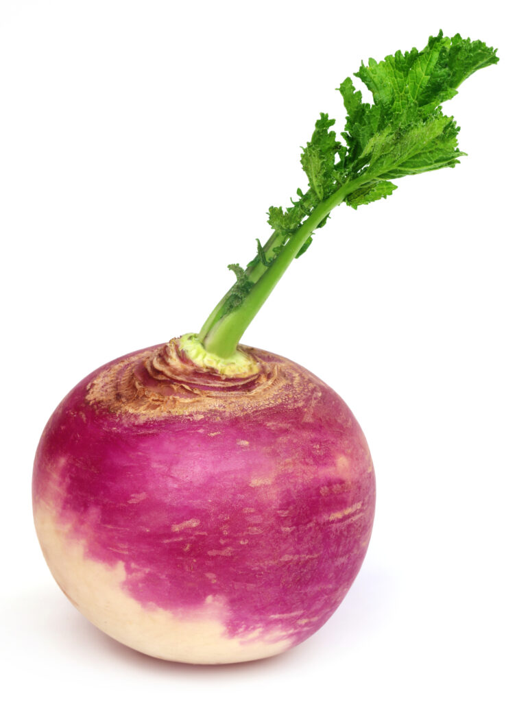 An image of a turnip.