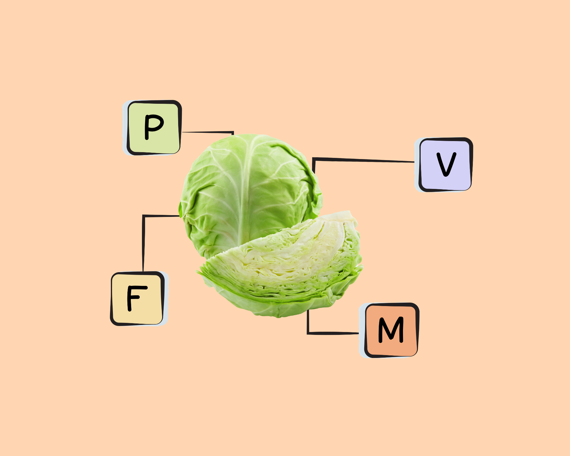 green-cabbage-nutrients