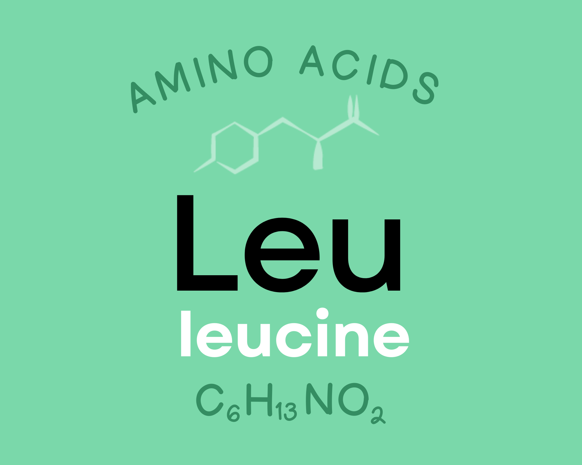 Leucine