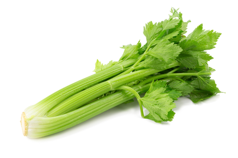 An image of celery.