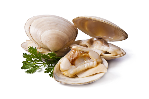 An image of clams.