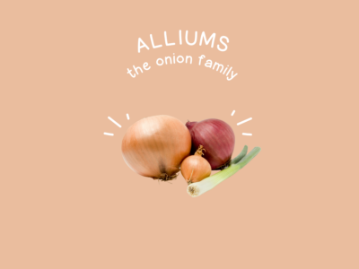 Food Families Alliums The Onion Family