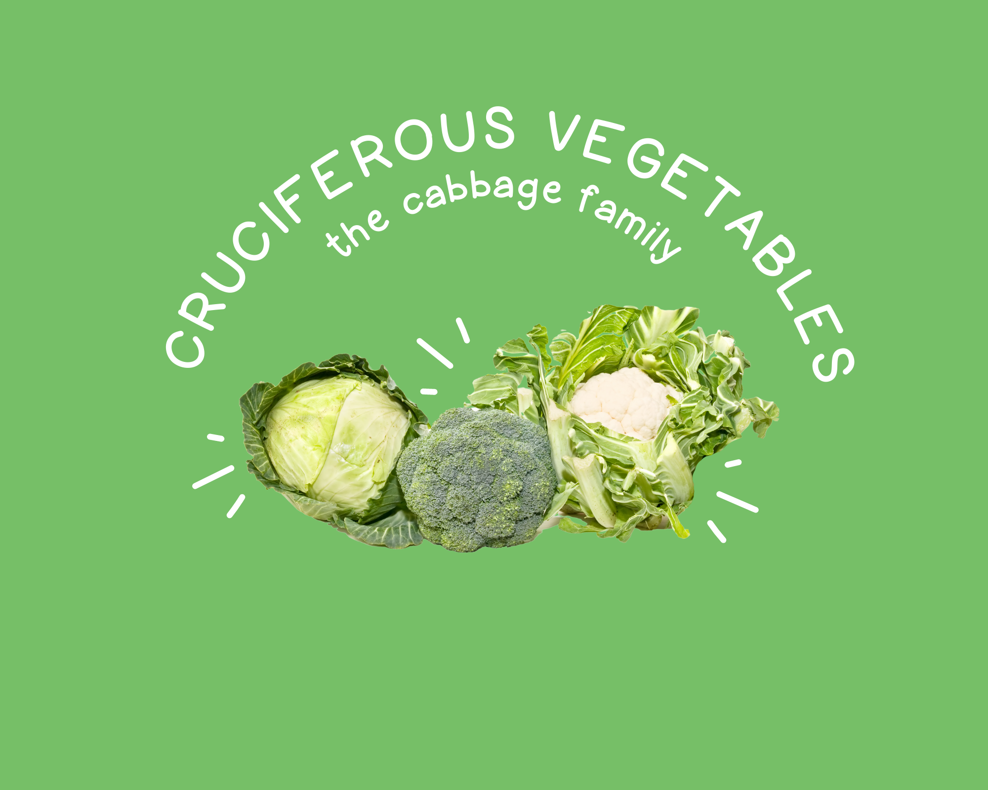Cruciferous Vegetables