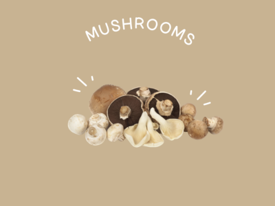 Food Families Mushrooms
