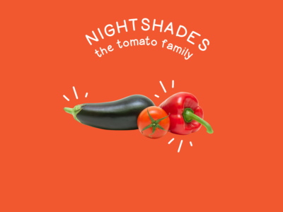 Food Families Nightshades