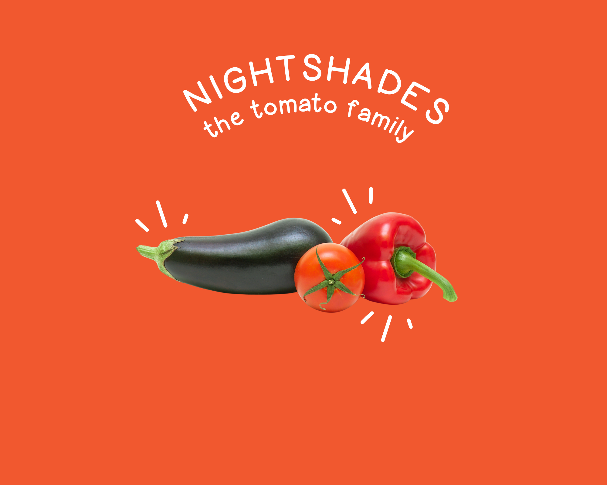 nightshades