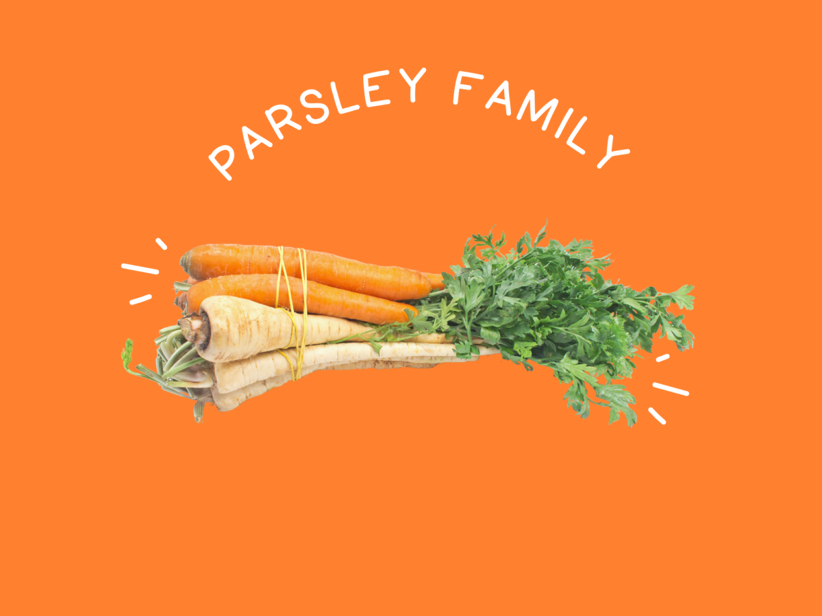 Foods Archive Nutrivore