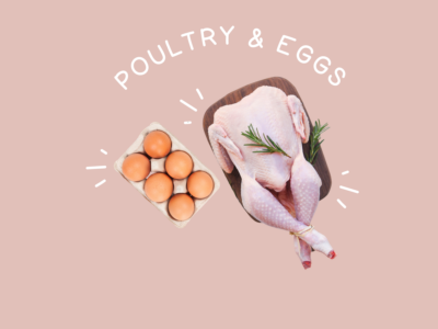 Food Families Poultry and Eggs