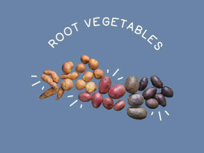 Food Families Root Vegetables