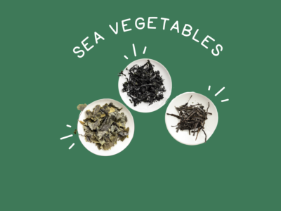 Food Families Sea Vegetables