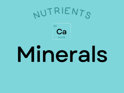 Learn about the importance of minerals in your diet and how they affect your health