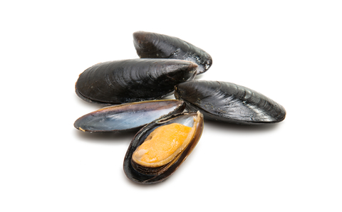 An image of mussels.