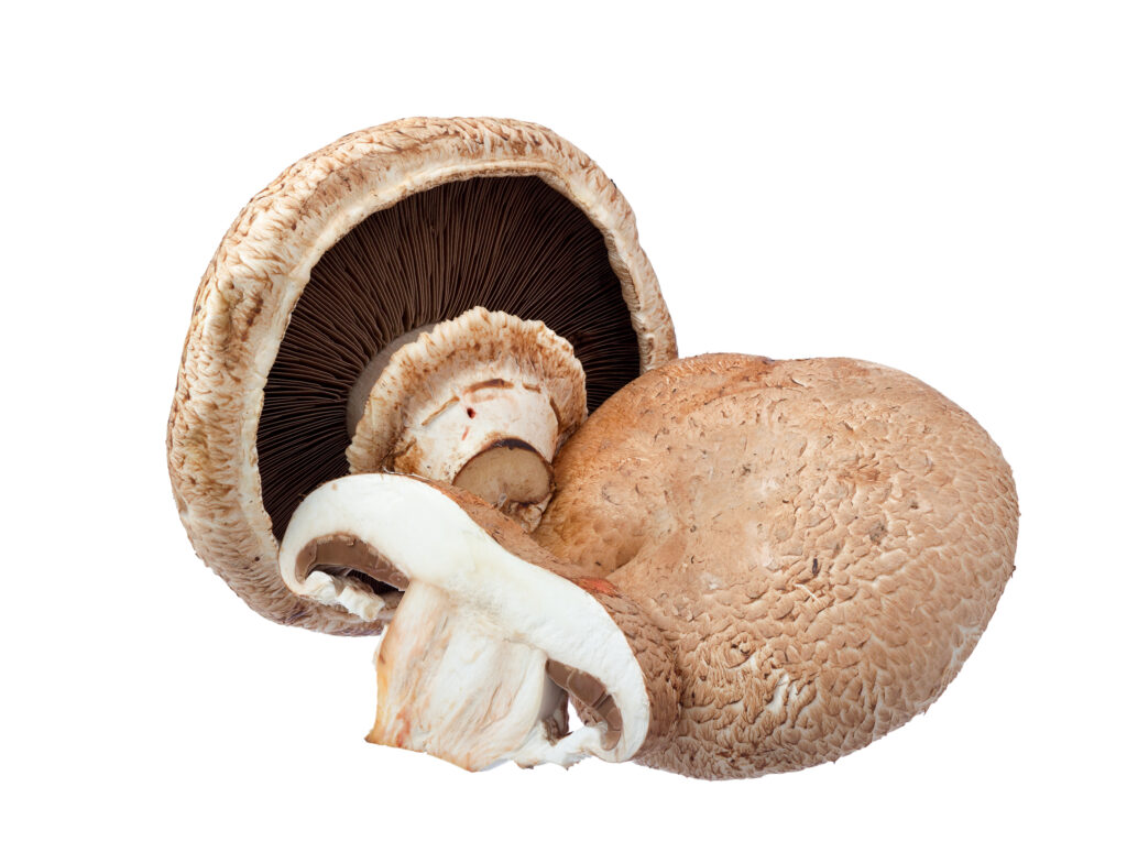 An image of portabella mushrooms.