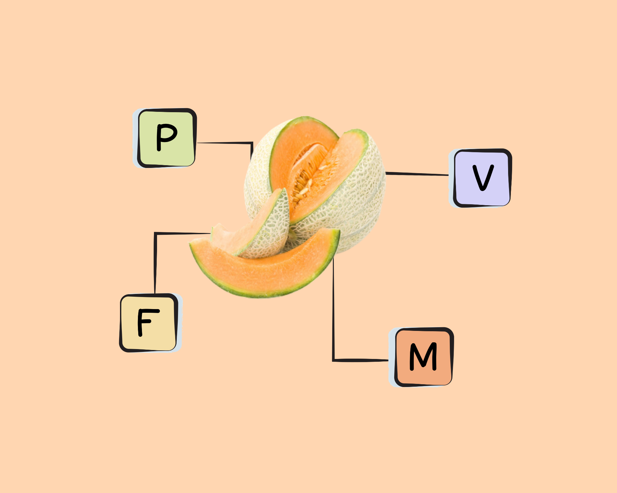 cantaloupe-nutrients