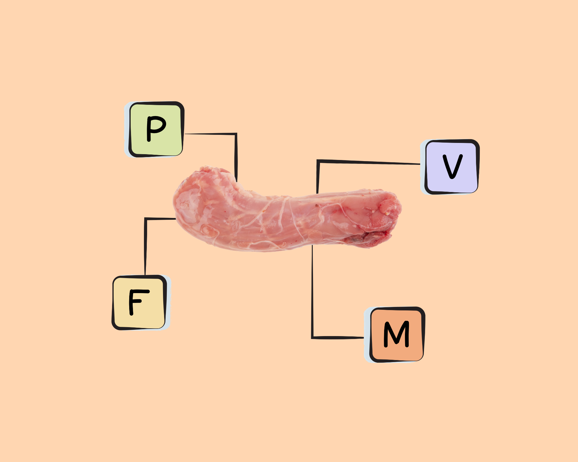 Chicken Giblet Nutrients