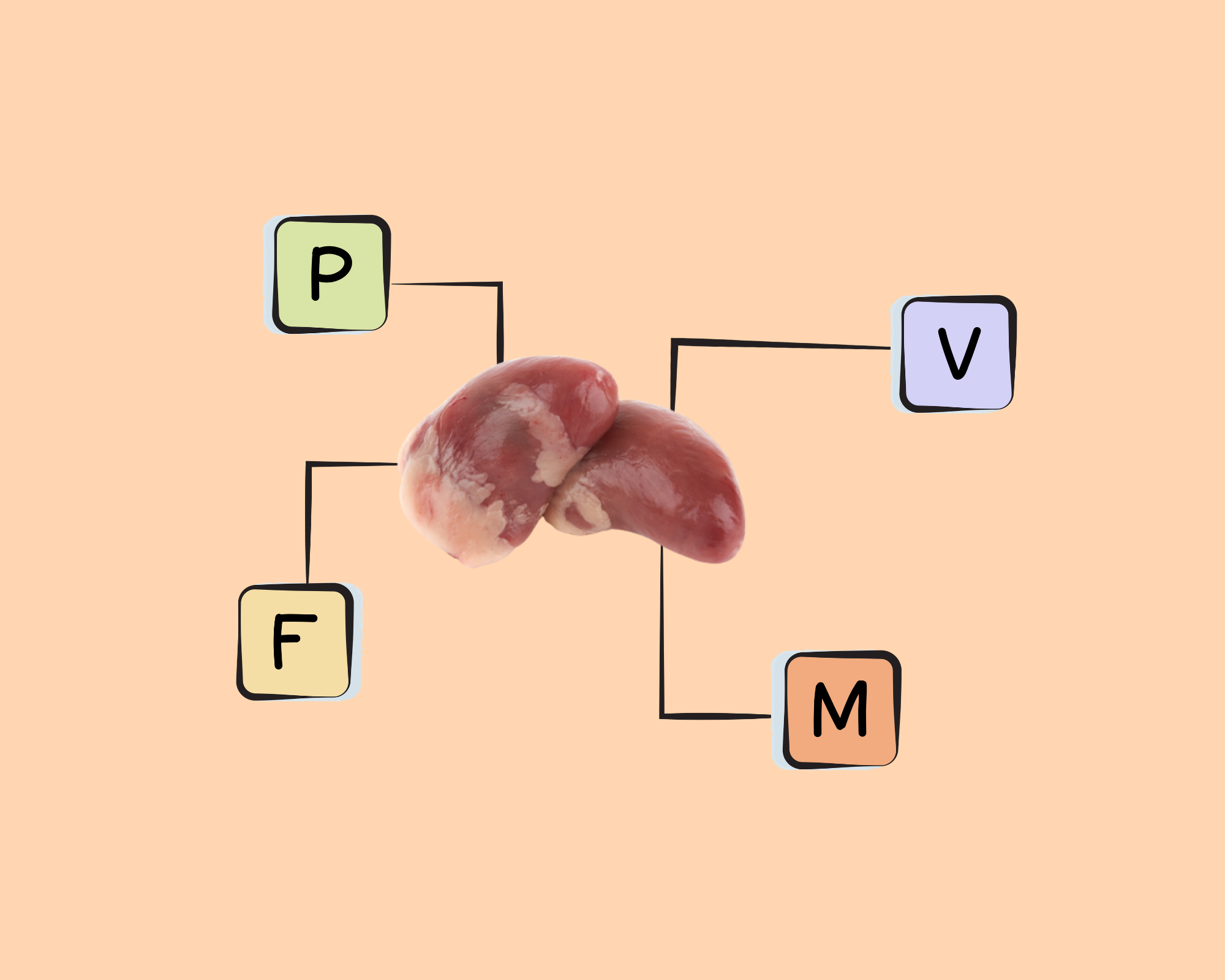 chicken-heart-nutrients