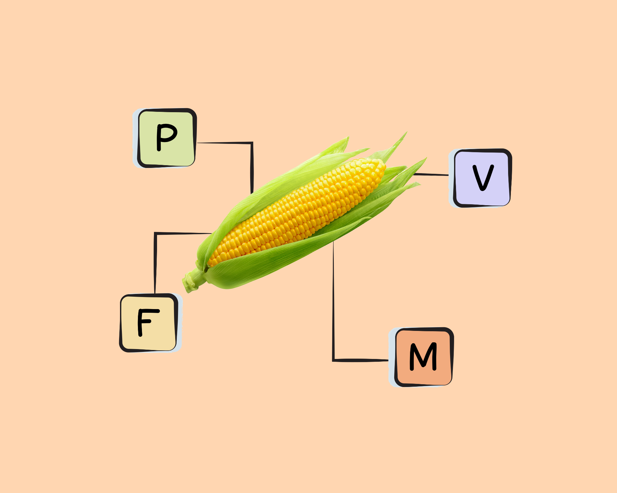 Yellow Sweet Corn Nutrients