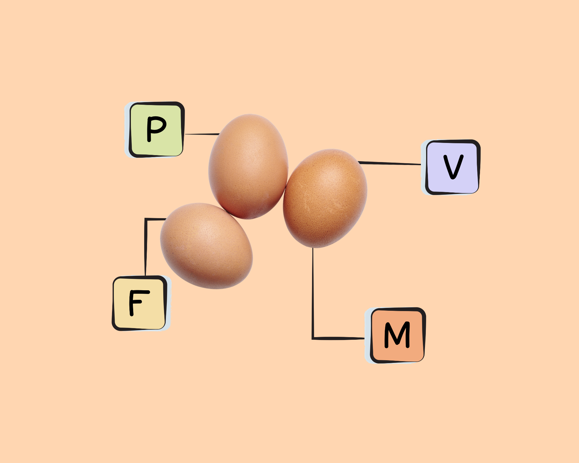 How Ostrich Eggs Differ In Nutrition From Chicken Eggs