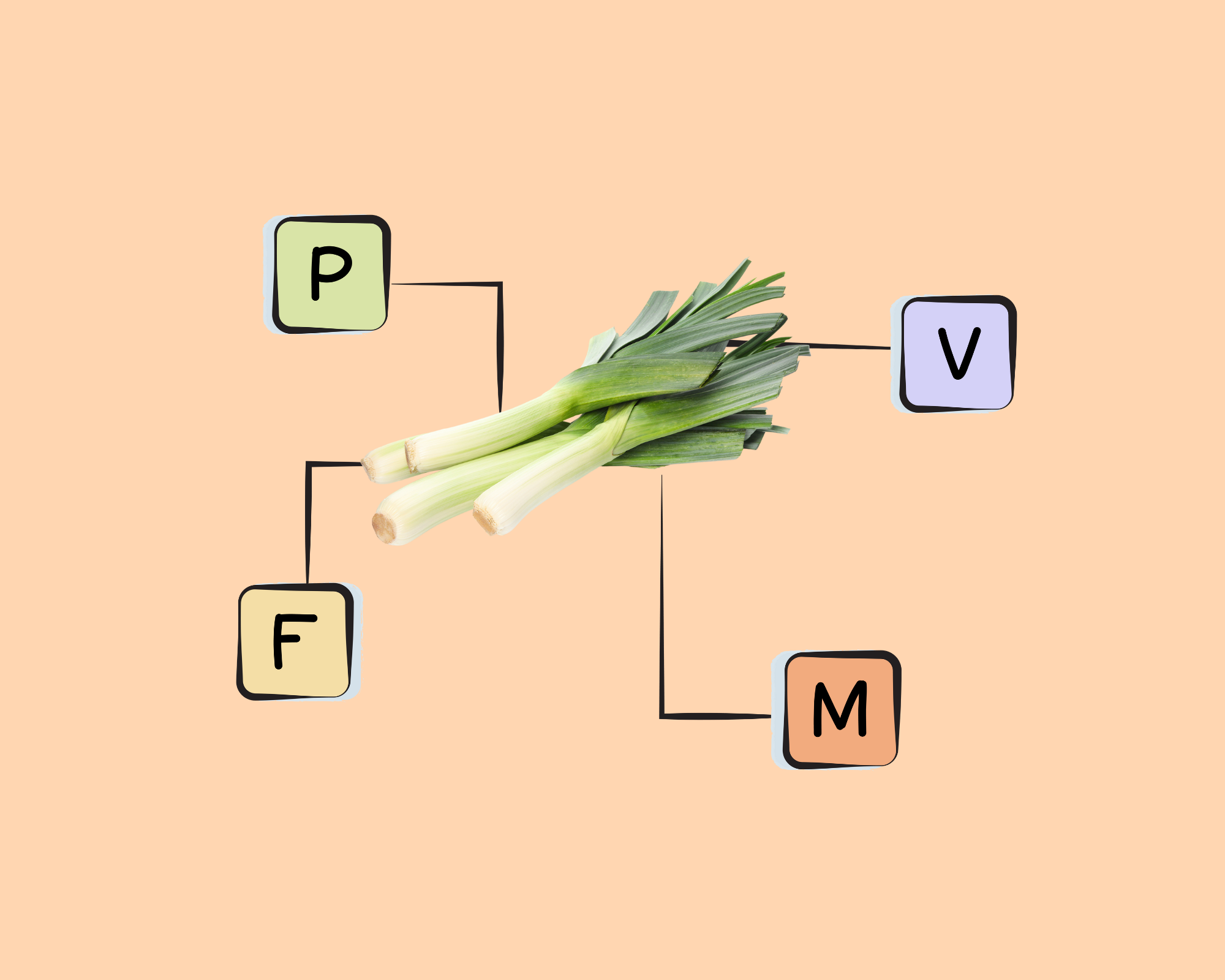 Leek Nutrients