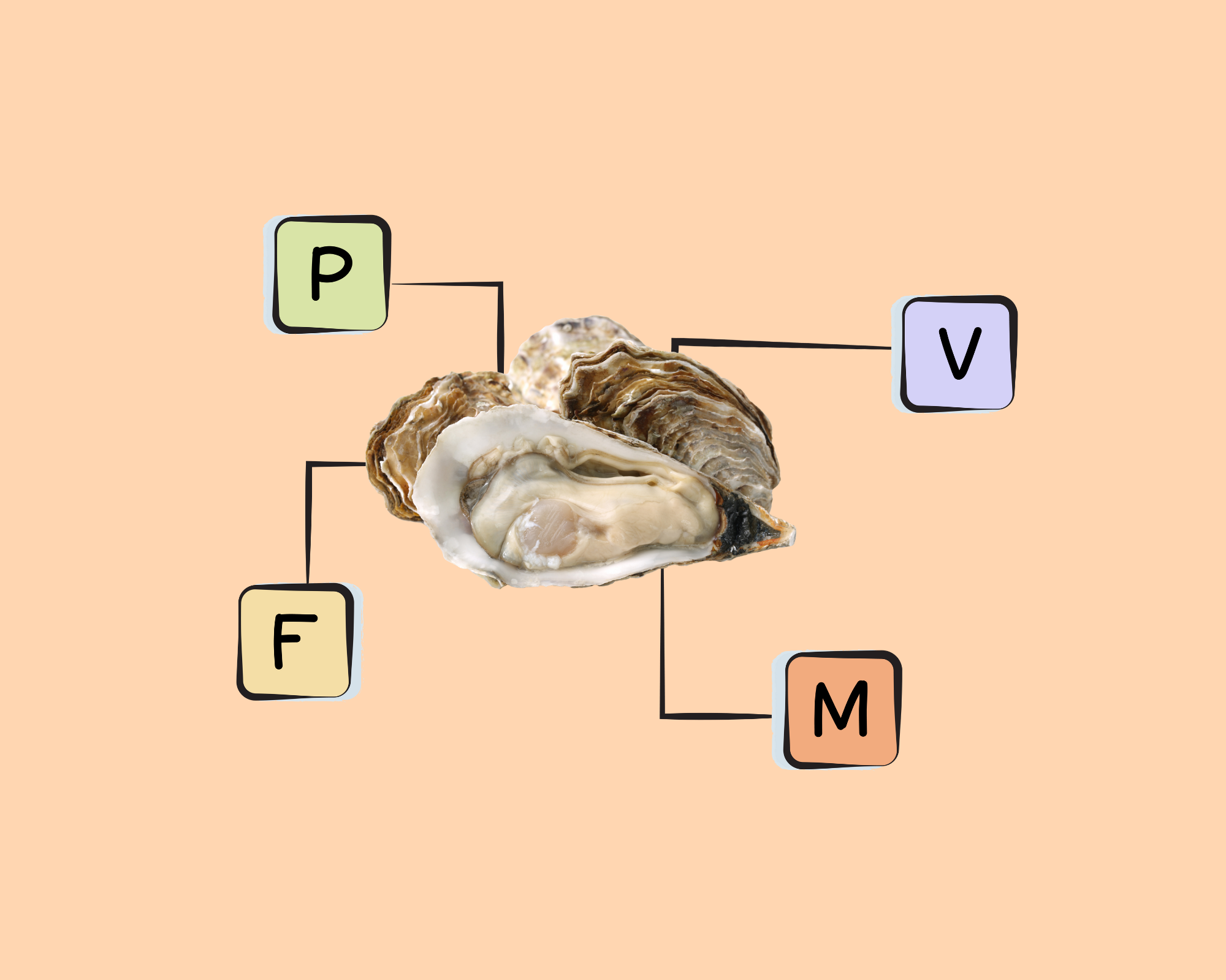 Pacific Oyster Nutrients