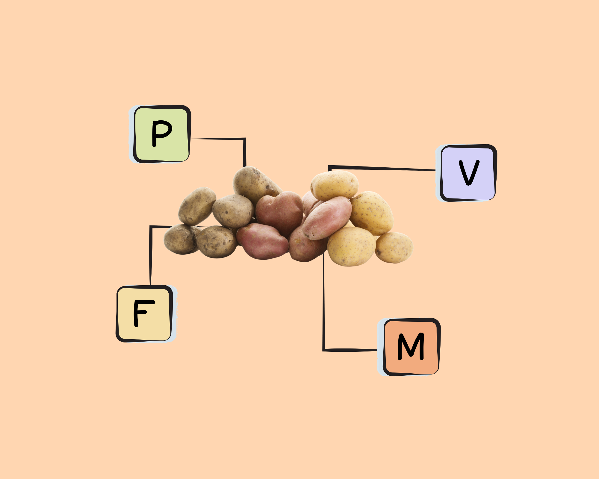 potato-nutrients