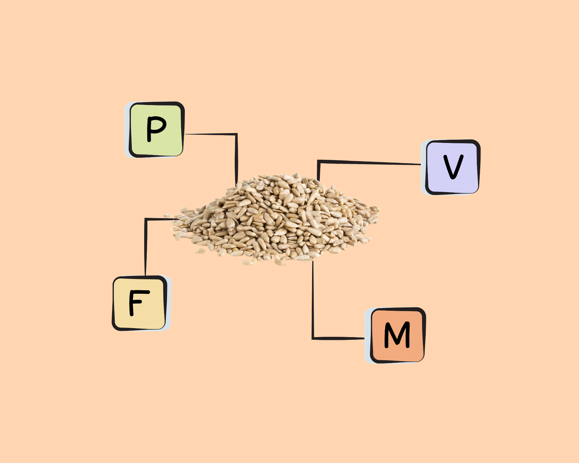 Sunflower Seed Nutrients