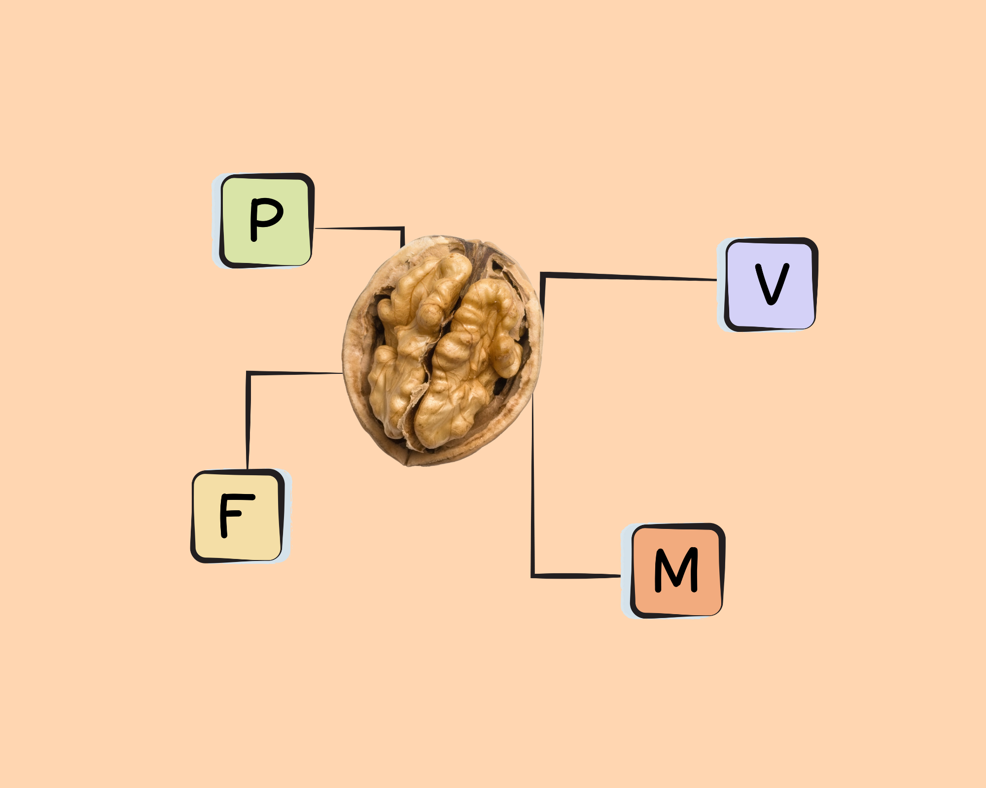 Walnut Nutrients