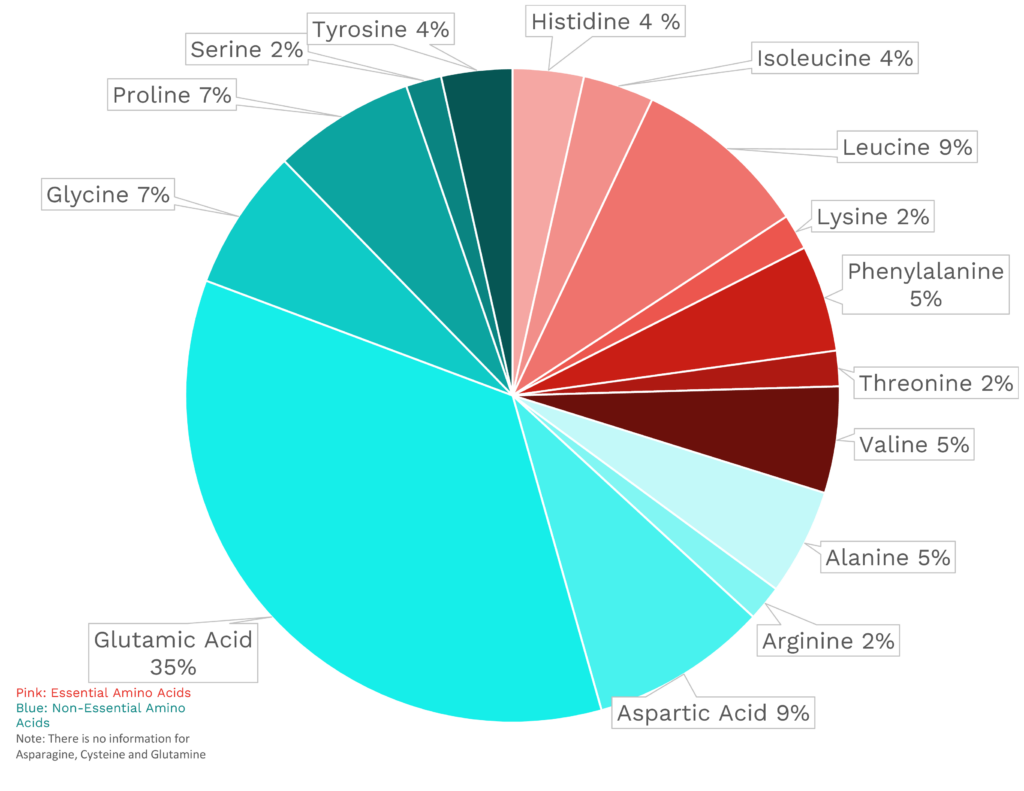 Visual graphic of amino acid distribution in brewed coffee.